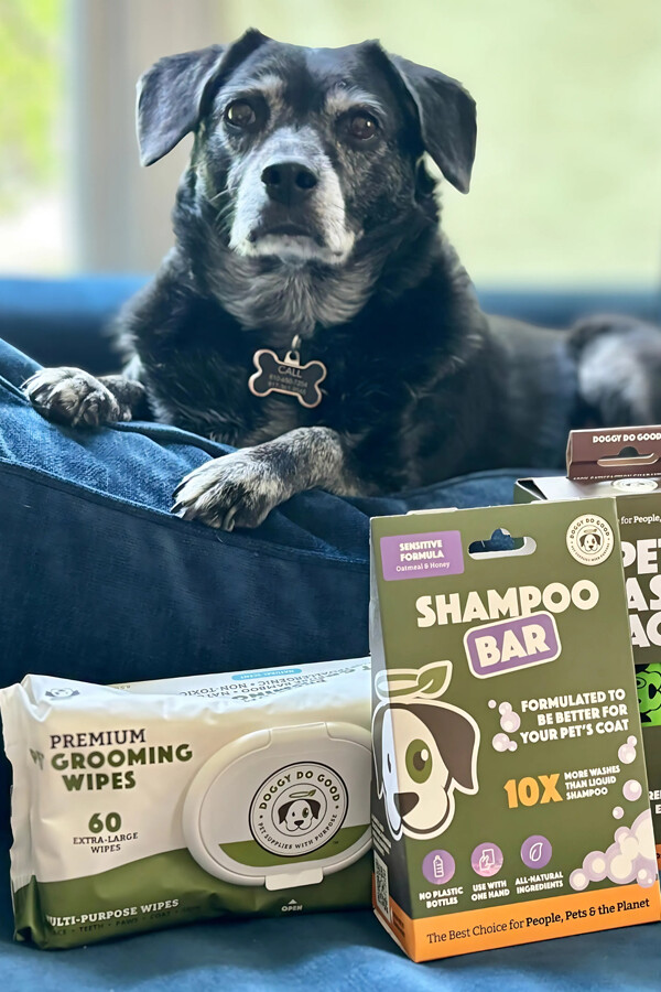 Doggy Do Good and Olive